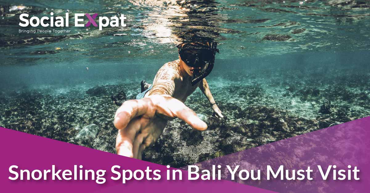 Snorkeling Spots In Bali You Must Visit | Social Expat