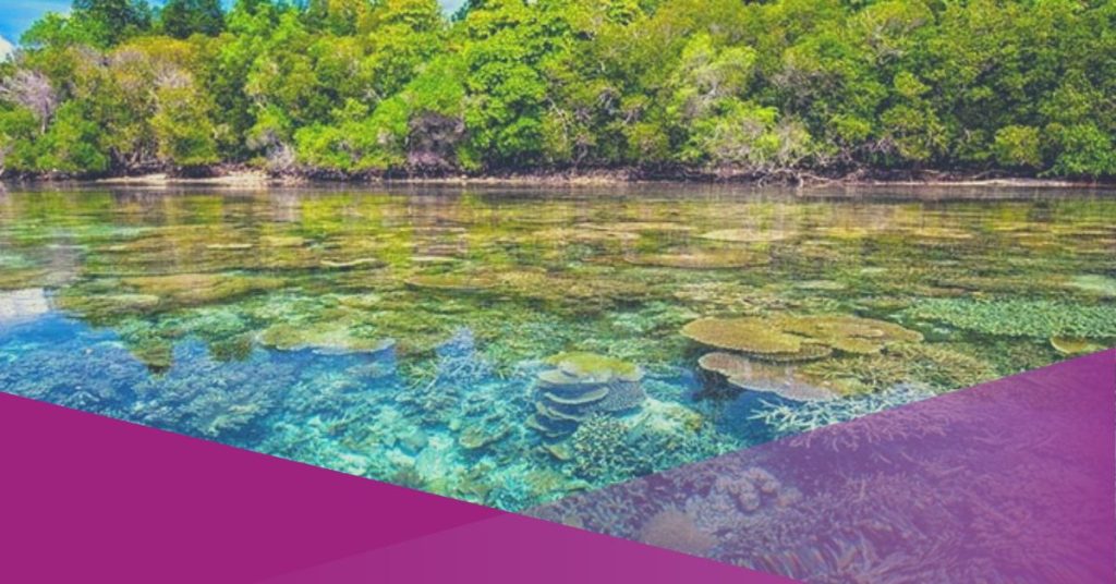 Five Non-Beach Tourism Spots in West Bali-website