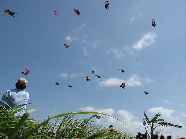 socialexpat Traditional Toys and Games From Indonesia You Should Know rarioj wikimedia commons