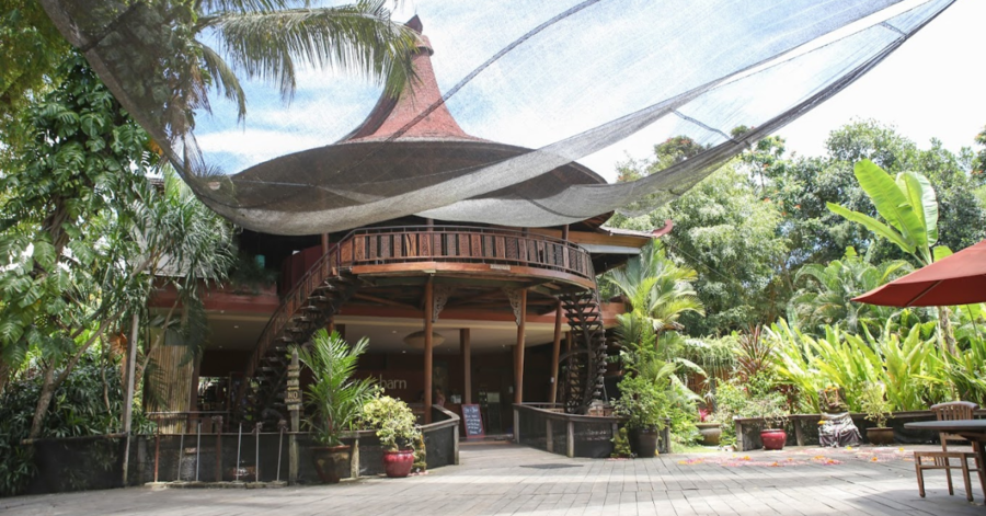 yoga classes in ubud