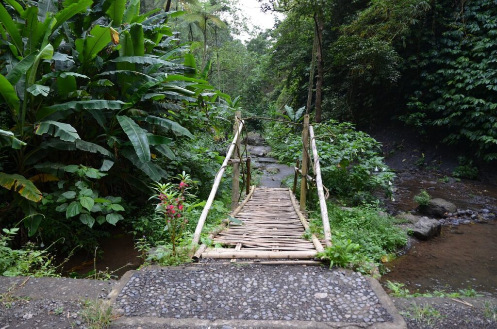 A glimpse of Munduk hiking trail.