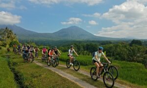 A group of people have a bicycle ride at Jatiluwih