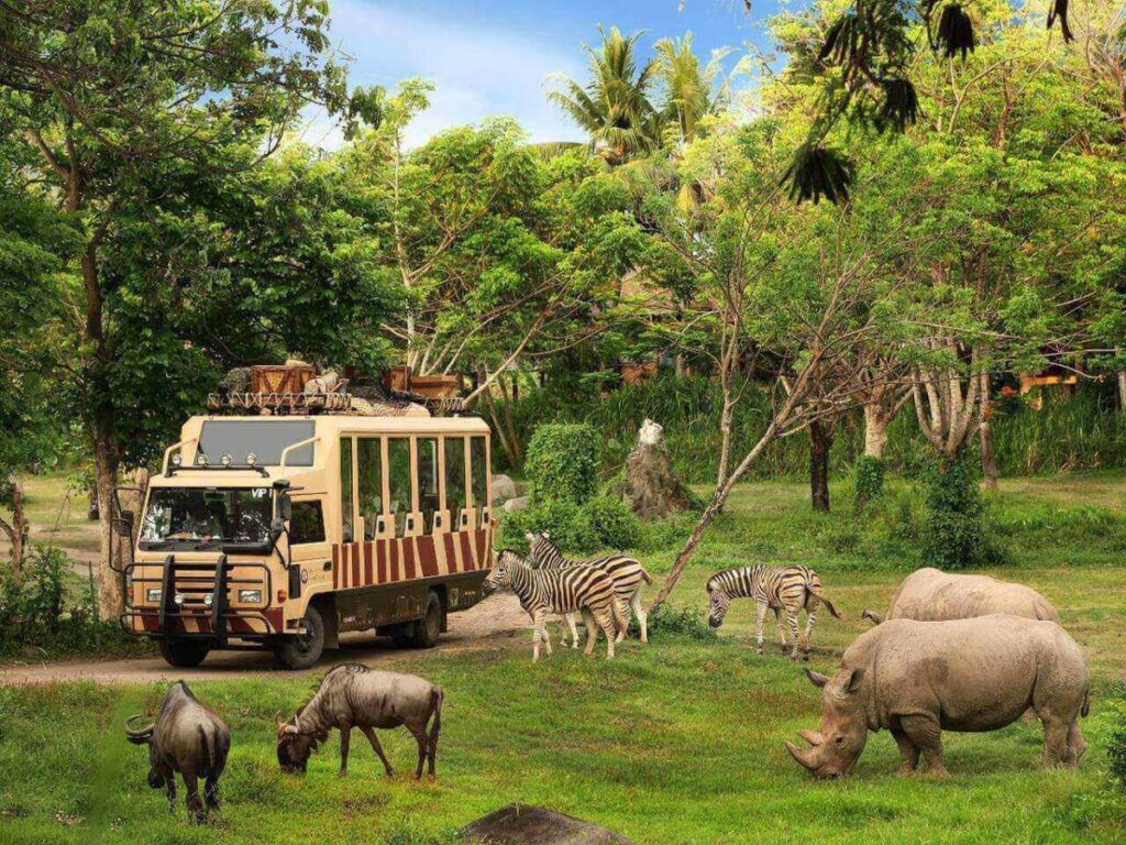 A safari tour at Bali Safari and Marine Park