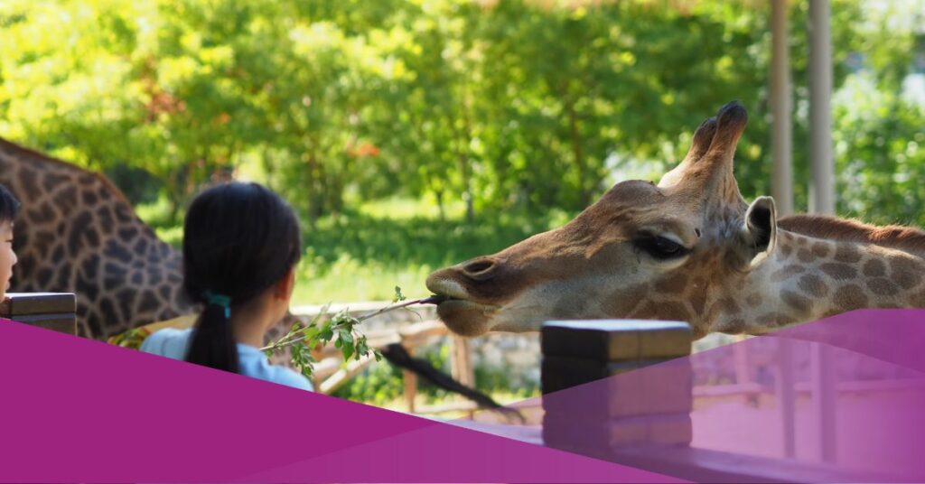 Kids fed a giraffe at the zoo.