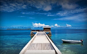Wings air reopen the flight to wakatobi