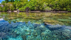 west bali beauty