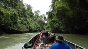 Four European Tourists Explored Borneo Forest for 7 Days by Feet 