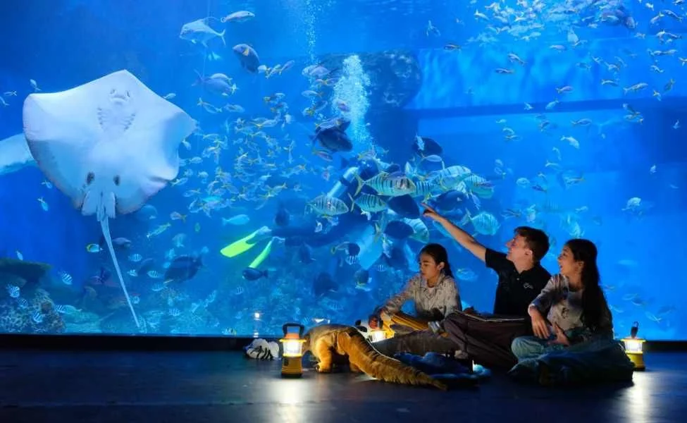 Jakarta Aquarium and Safari Theme Park