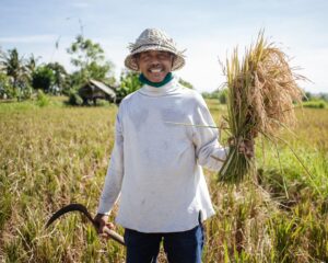 Empowering Local Communities through Regenerative Farming