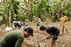 Tim Fijal working at regenerative farming in Subak