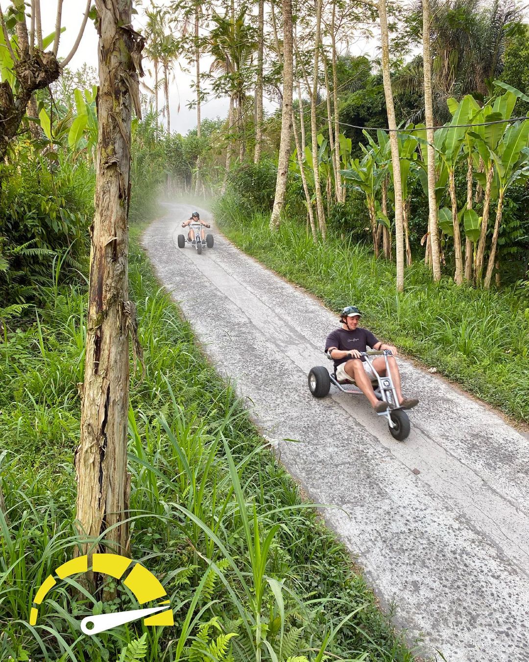 jungle cart bali