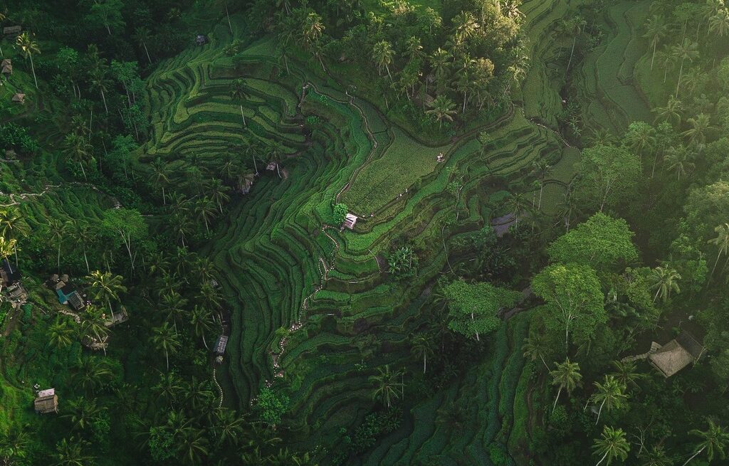 Ubud