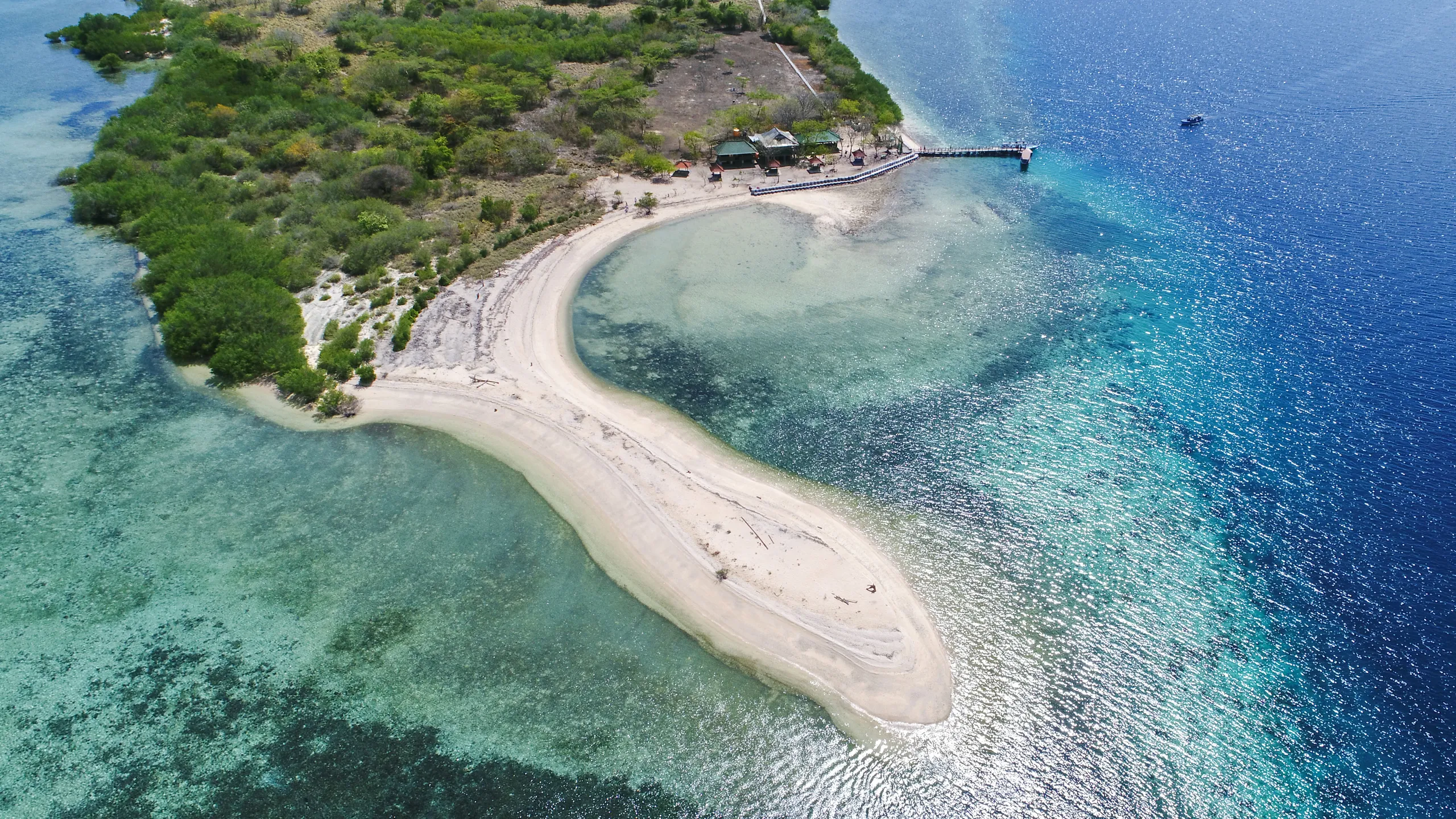 Menjangan Island