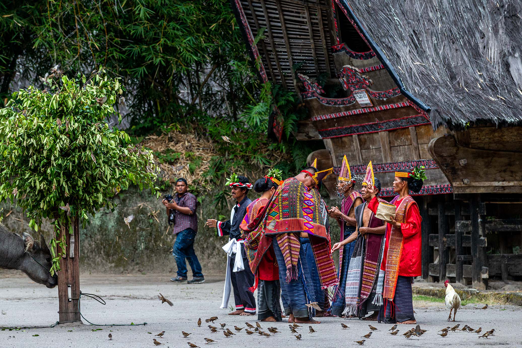 Batak Culture