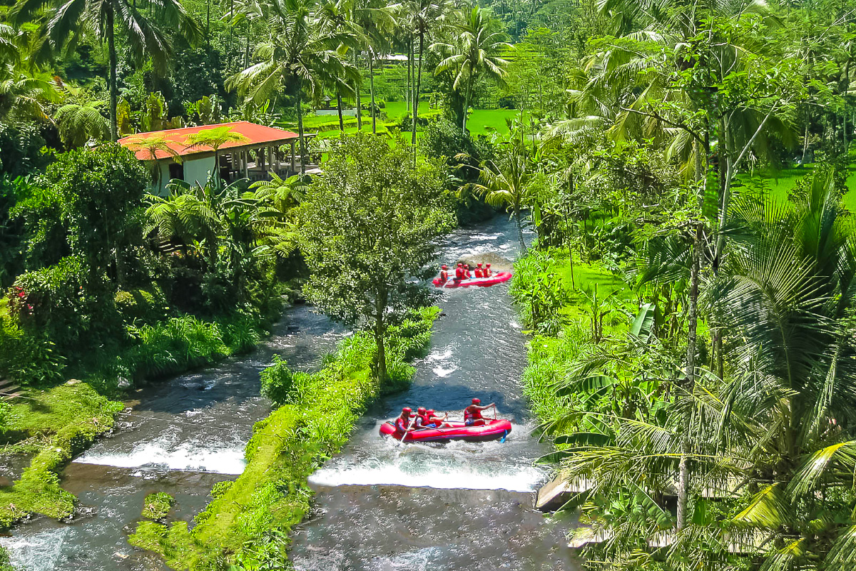 Ayung river