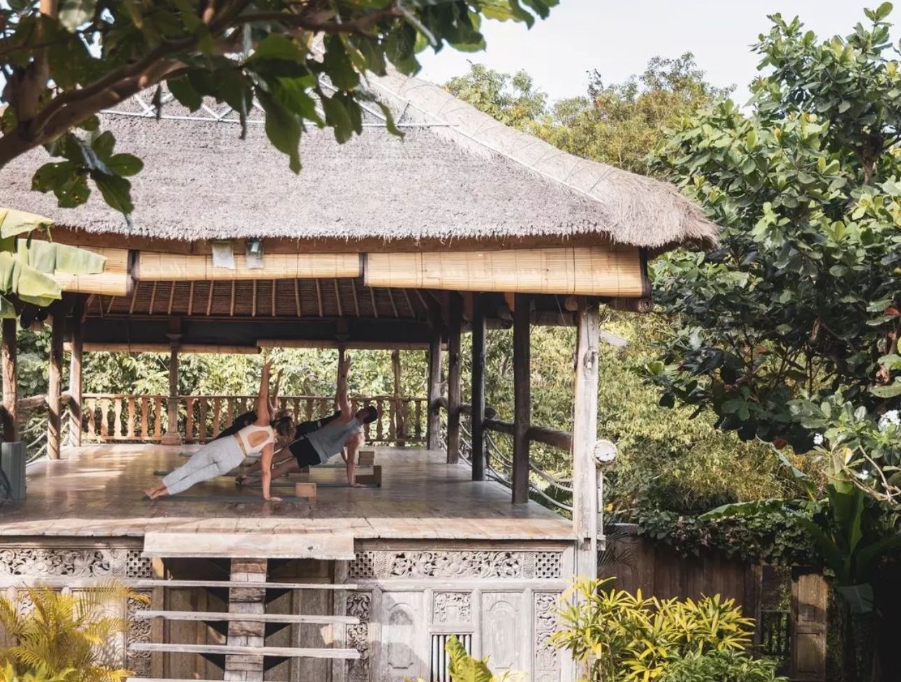 Morning light yoga