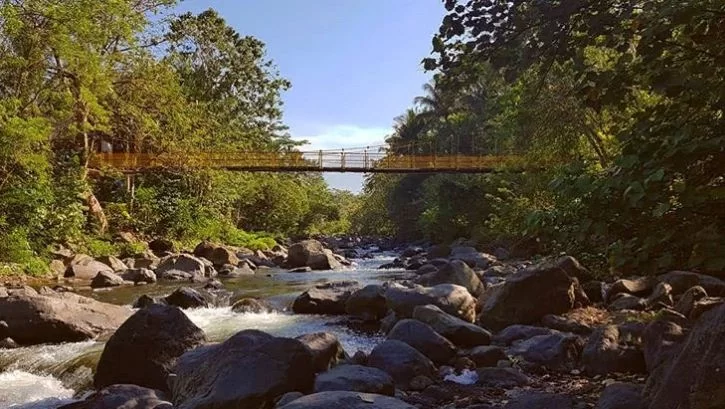 yellow bridge