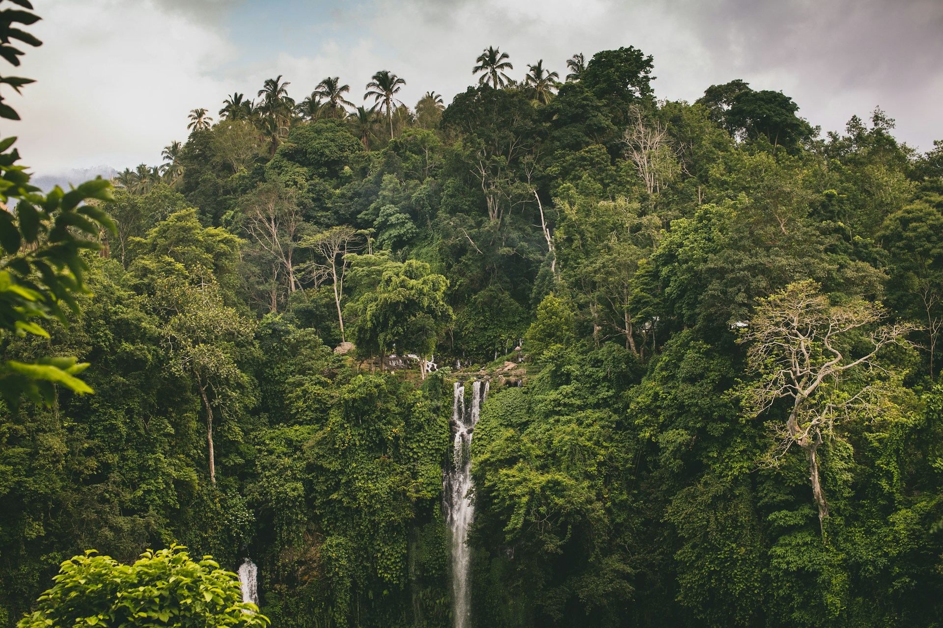 sekumpul waterfall