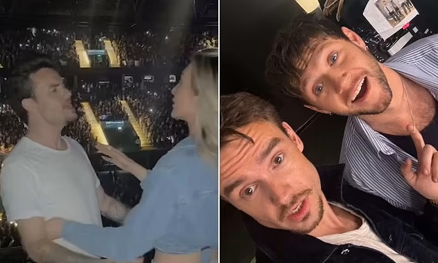 liam page niall horan