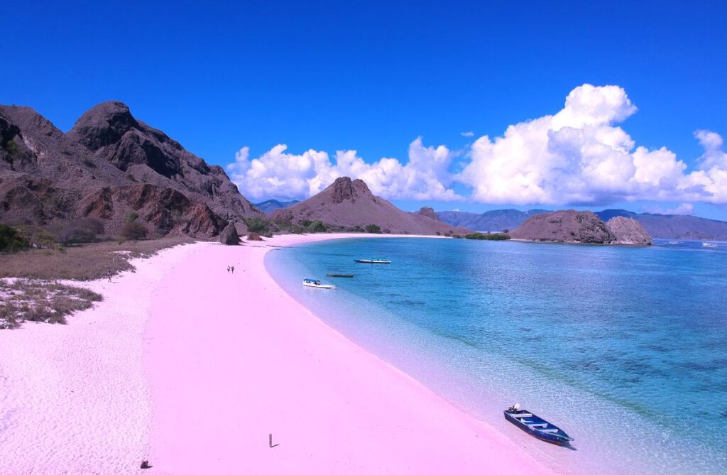 pink beach indonesia pulau padar