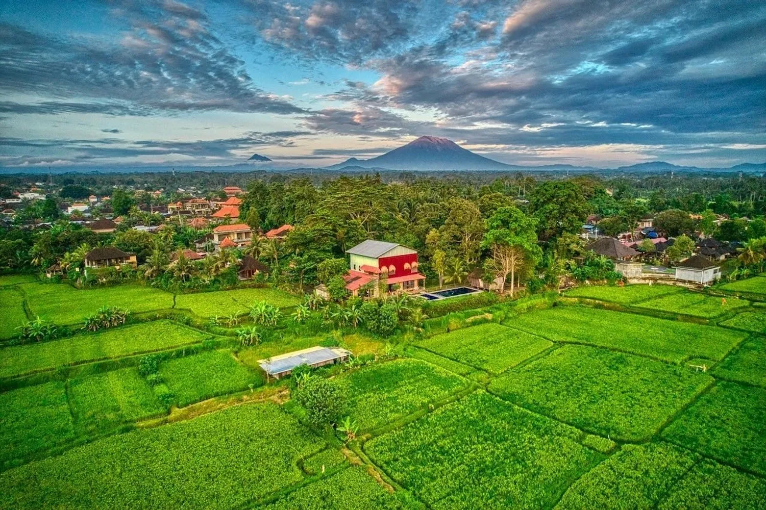 Wood School Bali