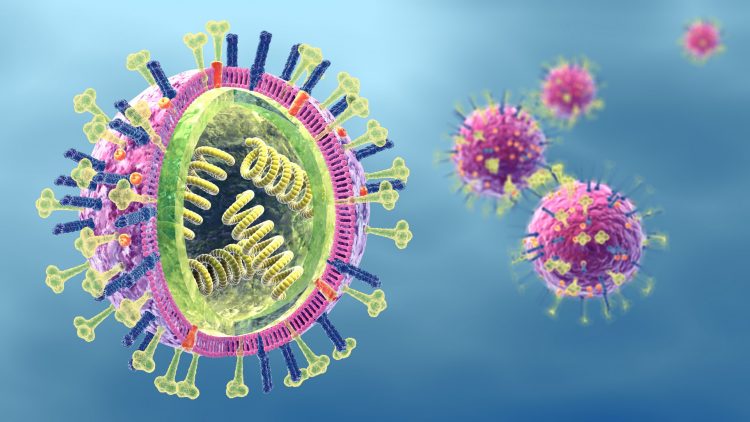 Human metapneumovirus (HMPV)