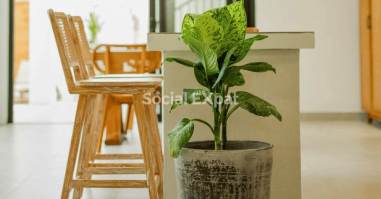 Kitchen - Fleurs Villa