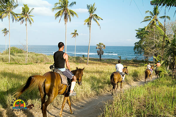 Horseback Riding