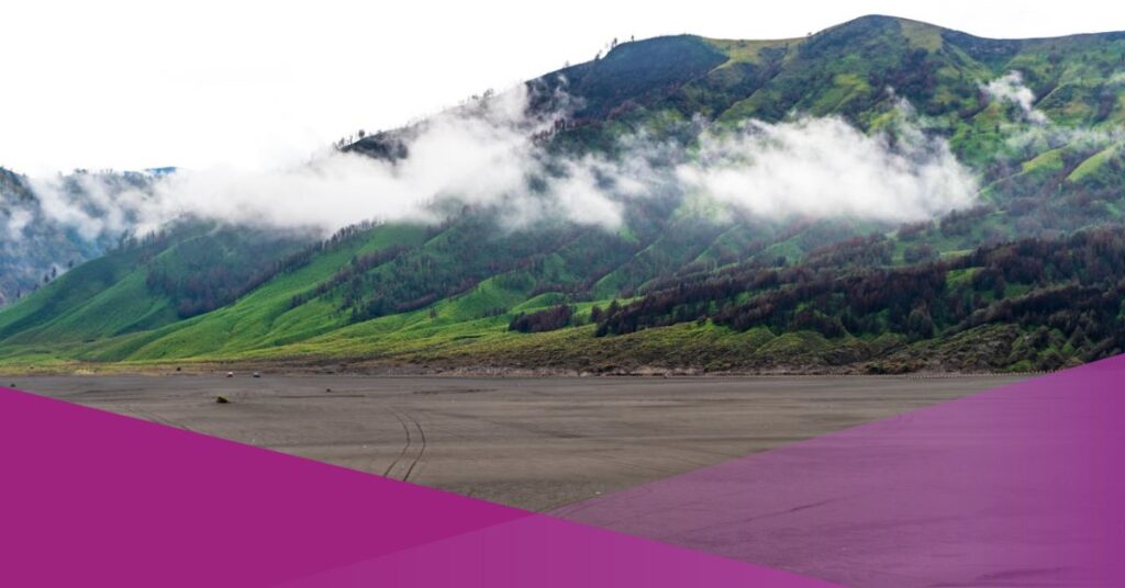 Cannabis Fields in Bromo